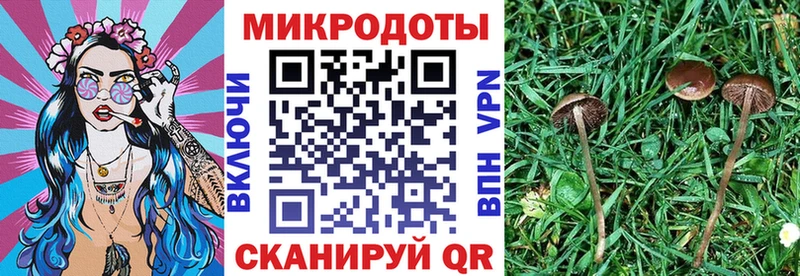 Псилоцибиновые грибы прущие грибы  Ачинск 